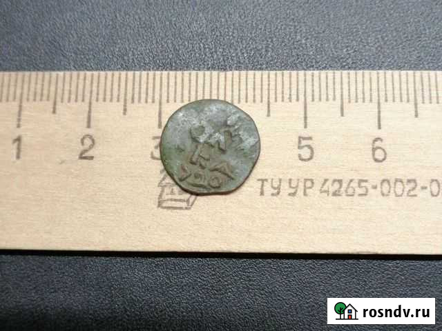 Монета-полушка, Пётр первый Новомосковск - изображение 1