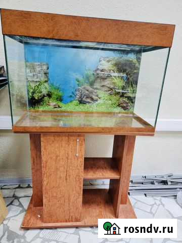 Аквариум 140 литров с тумбой Астрахань - изображение 1