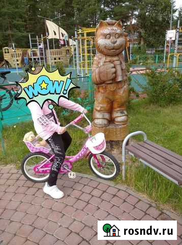 Велосипед Stels Echo 16 Сосновый Бор - изображение 1