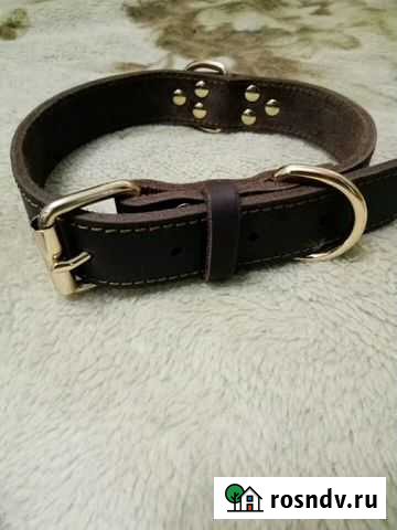 Кожаный ошейник Ковдор - изображение 1