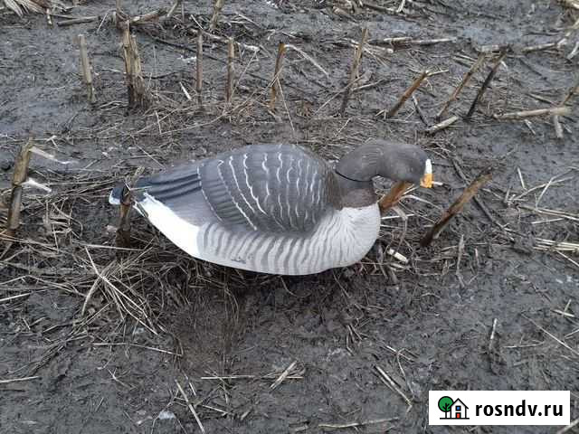 Чучела гусей GHG Greenhead Gear Magnum Калининград - изображение 1