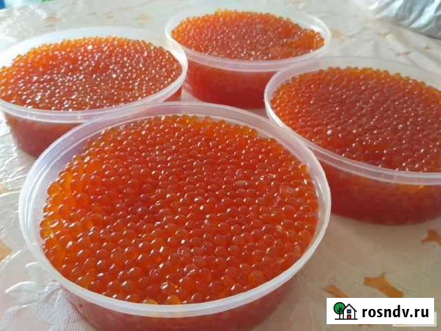 Икра красная Горбуша и Кета Волгоград - изображение 1