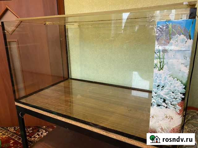 Аквариум Норильск - изображение 1