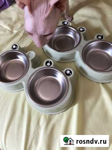 Миски для собак/кошек Красногорск - изображение 1