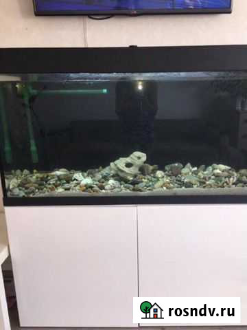 Аквариум 300 литров Суровикино - изображение 1