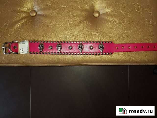 Ошейник Всеволожск - изображение 1