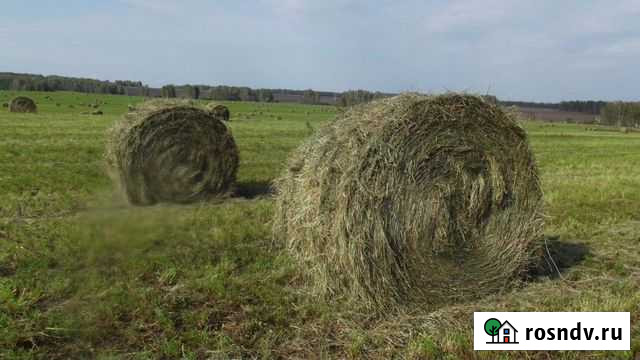 Сено в рулонах Кимры - изображение 1