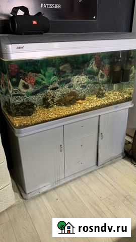 Аквариум Белогорск - изображение 1