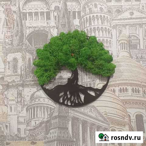 Панно из стабелизированного мха Биробиджан - изображение 1