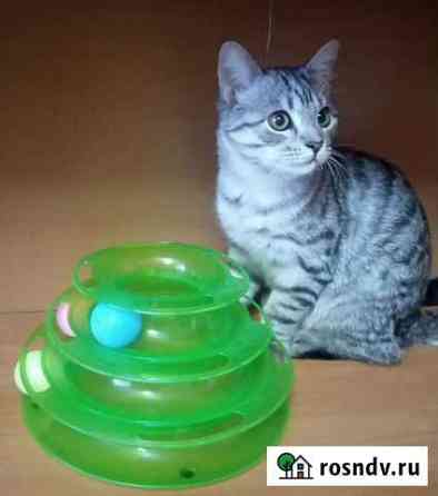 Игрушка для котят Авсюнино