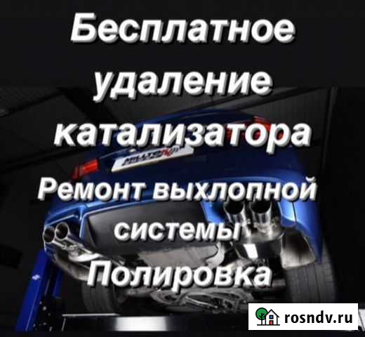 Бесплатное удаление катализатора Щёлково - изображение 1