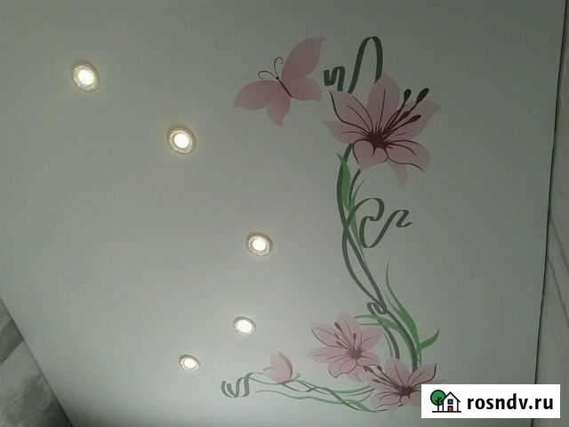 Натяжные потолки Петропавловск-Камчатский - изображение 1