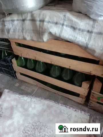 Стеклянная бутылка 0. 5 Батуринская - изображение 1