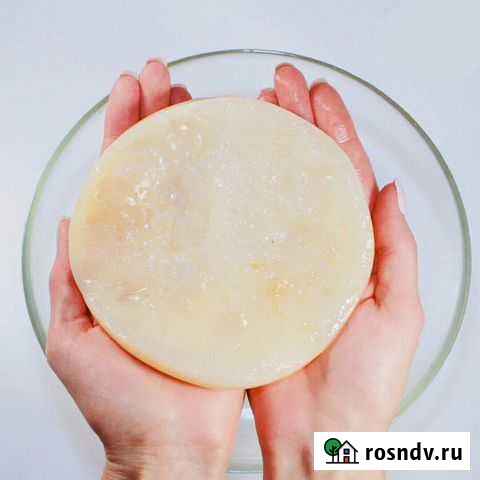 Чайный гриб Джун Пермь - изображение 1