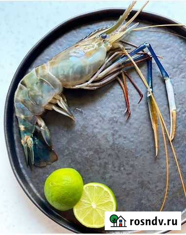 Креветка розенберга Самара - изображение 1