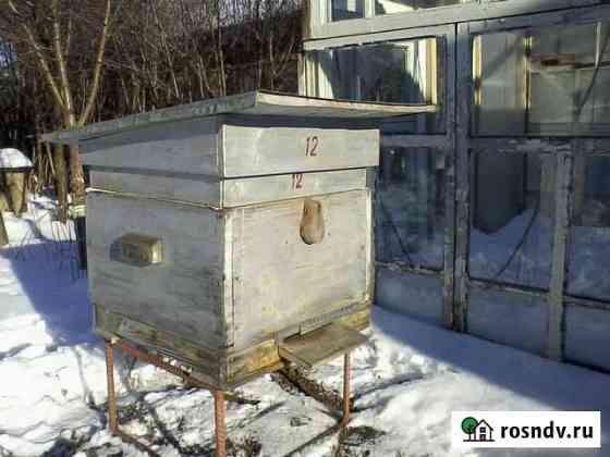 Продам ульи для пчел бу Похвистнево