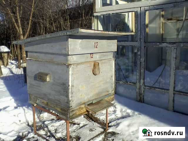 Продам ульи для пчел бу Похвистнево - изображение 1