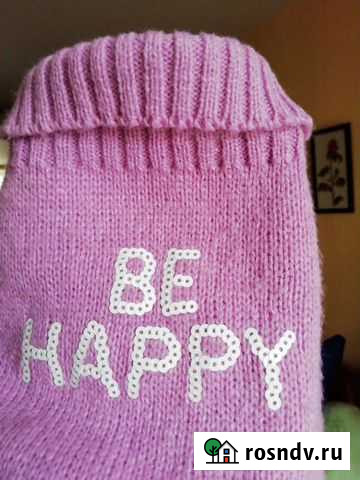 Одежда для маленьких собак и кошек Владимир - изображение 1