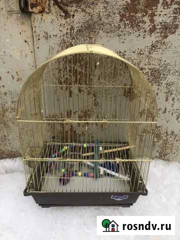 Клетка для попугая Подольск - изображение 1