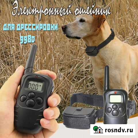 Электронный ошейник для собак Пенза - изображение 1