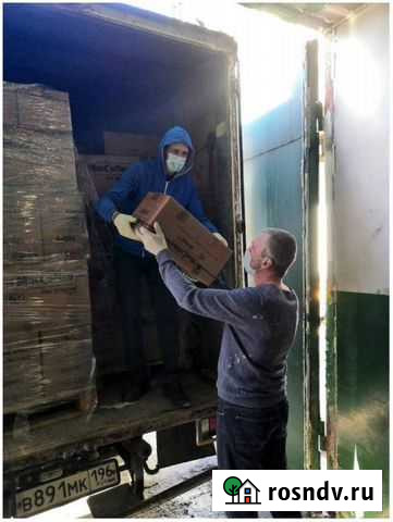 Переезды грузчики / Грузчики на час Чехов - изображение 1