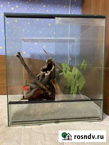 Террариум для рептилий Котельники - изображение 1