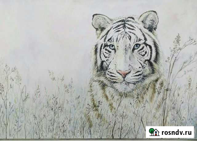 Картина акварелью Тигр Ухта - изображение 1