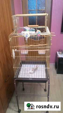 Клетка Муром - изображение 1