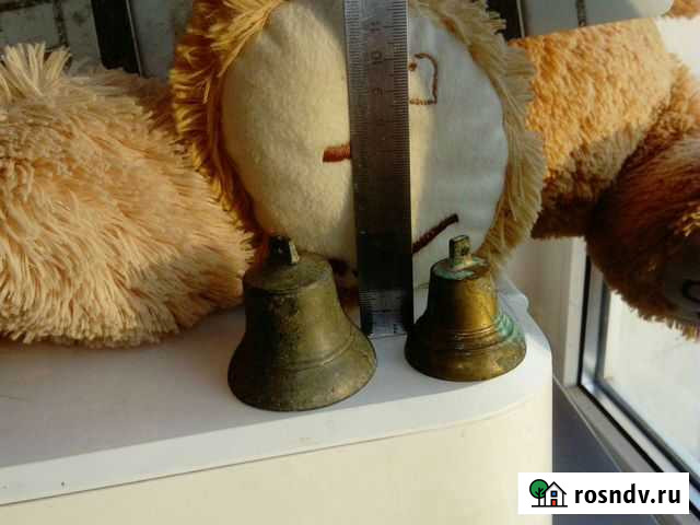 Колокольчик поддужный Тейково - изображение 1