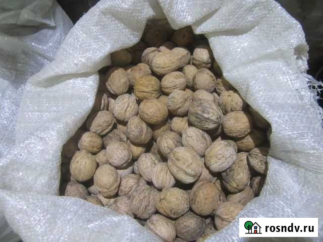 Продам грецкий орех Белая Калитва - изображение 1