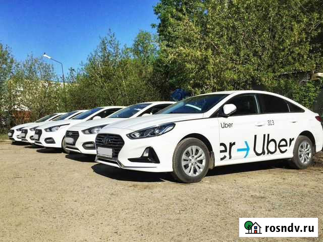 Аренда авто под такси на гбо Санкт-Петербург - изображение 1