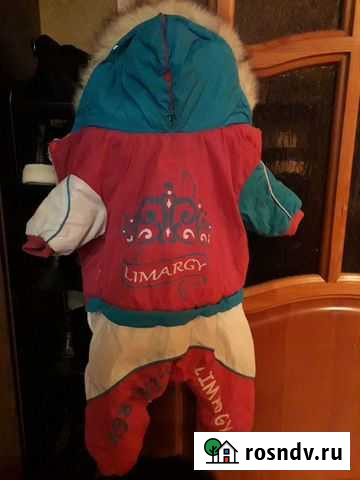 Комбинезон для маленькой собаки Саранск - изображение 1