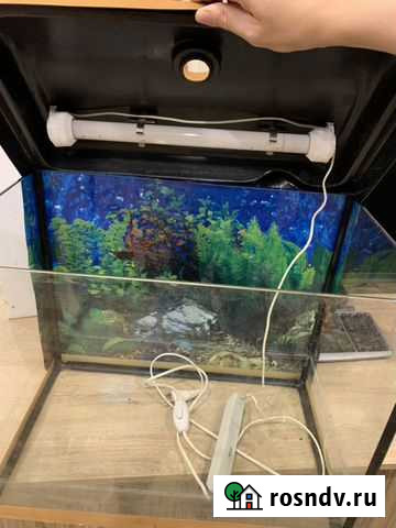 Аквариум aquaplus с лампой Красково - изображение 1
