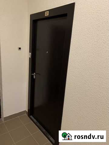 Дверь входная от застройщика Янино-1 - изображение 1