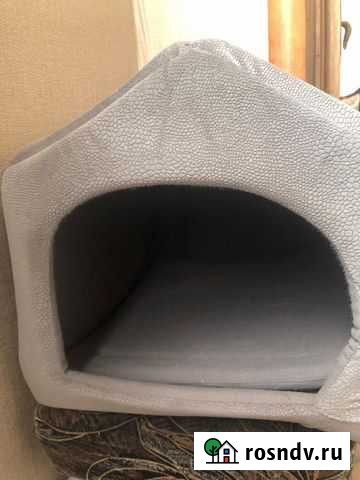 Кошкин дом Махачкала - изображение 1