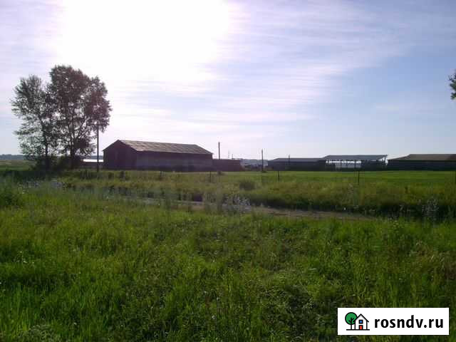 Продается крестьянское (фермерское) хозяйство Барнаул - изображение 1