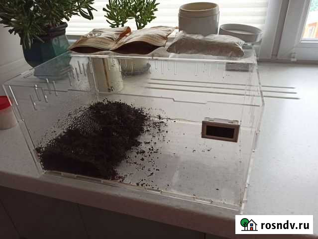 Террариум Москва - изображение 1