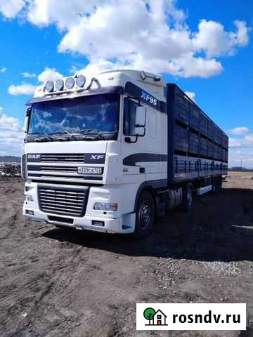 Скотовоз, перевозка овец в три этажа Палласовка - изображение 1