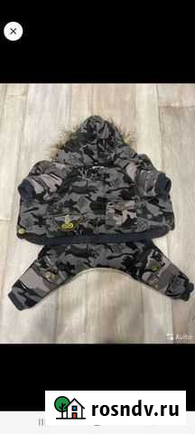 Одежда для собак Севастополь - изображение 1