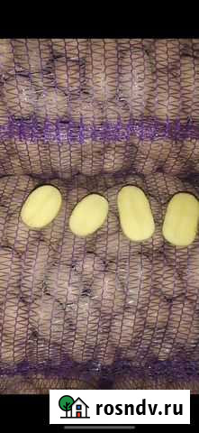 Картошка из Беларусии Павловский Посад - изображение 1