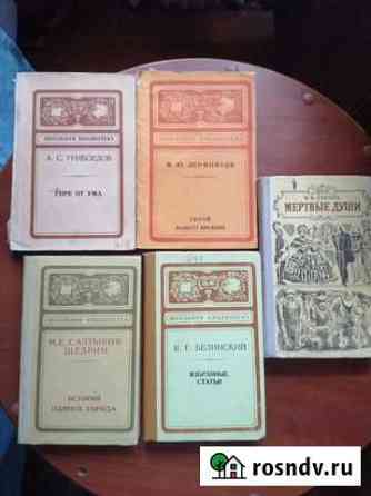Книги Лиски