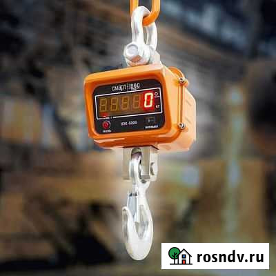 Весы крановые Якутск - изображение 1