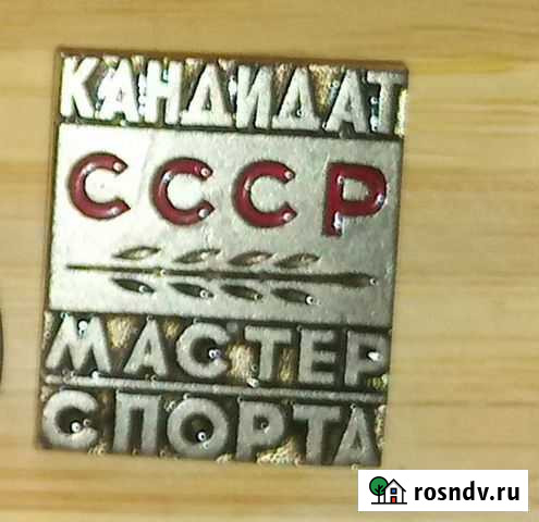 Значок Омск - изображение 1