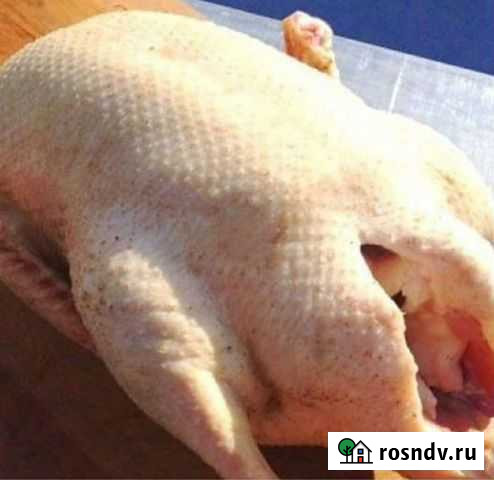 Утиное мясо Белая Калитва - изображение 1