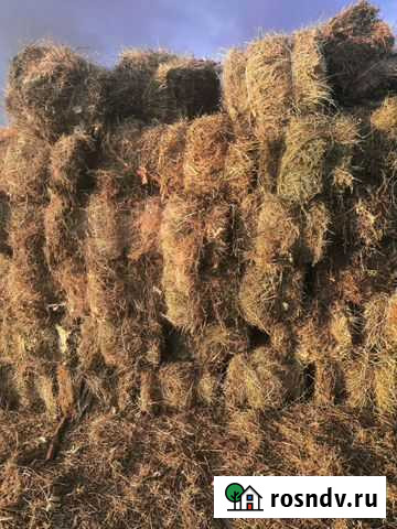Сено Волгодонск - изображение 1