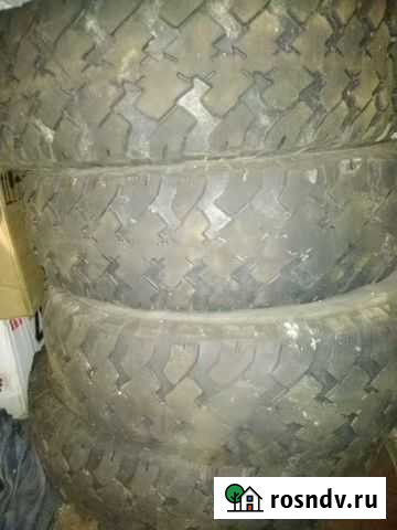 Продам шины Сегежа - изображение 1