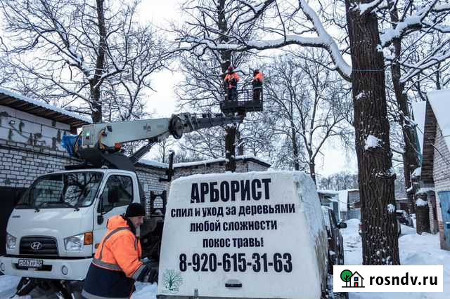 Спил, рубка, удаление деревьев, расчистка участка Калуга - изображение 1