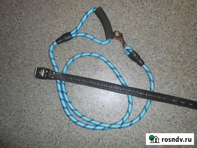 Ошейник и поводок Сергиев Посад - изображение 1