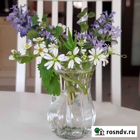 Услуги няни Черкесск - изображение 1