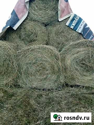 Сено в рулонах 2021 Некрасовское - изображение 1